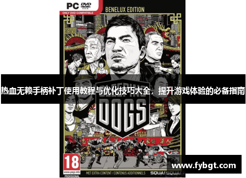 热血无赖手柄补丁使用教程与优化技巧大全，提升游戏体验的必备指南